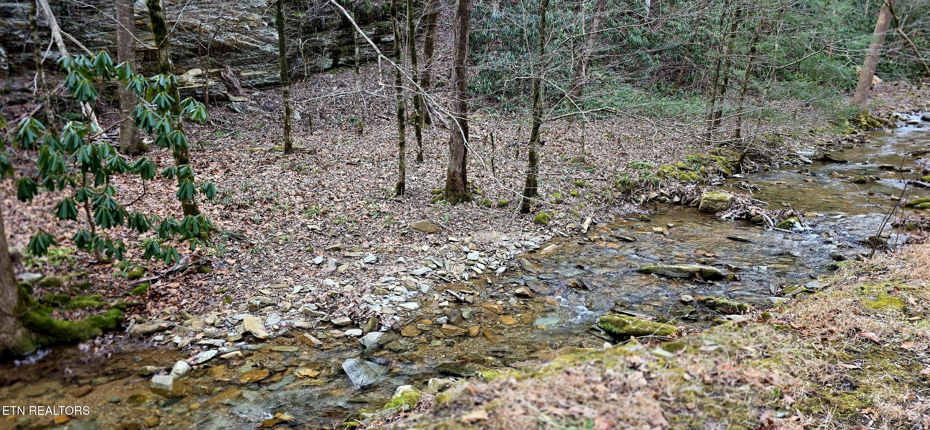 N Clear Fork Road Sevierville TN 37862