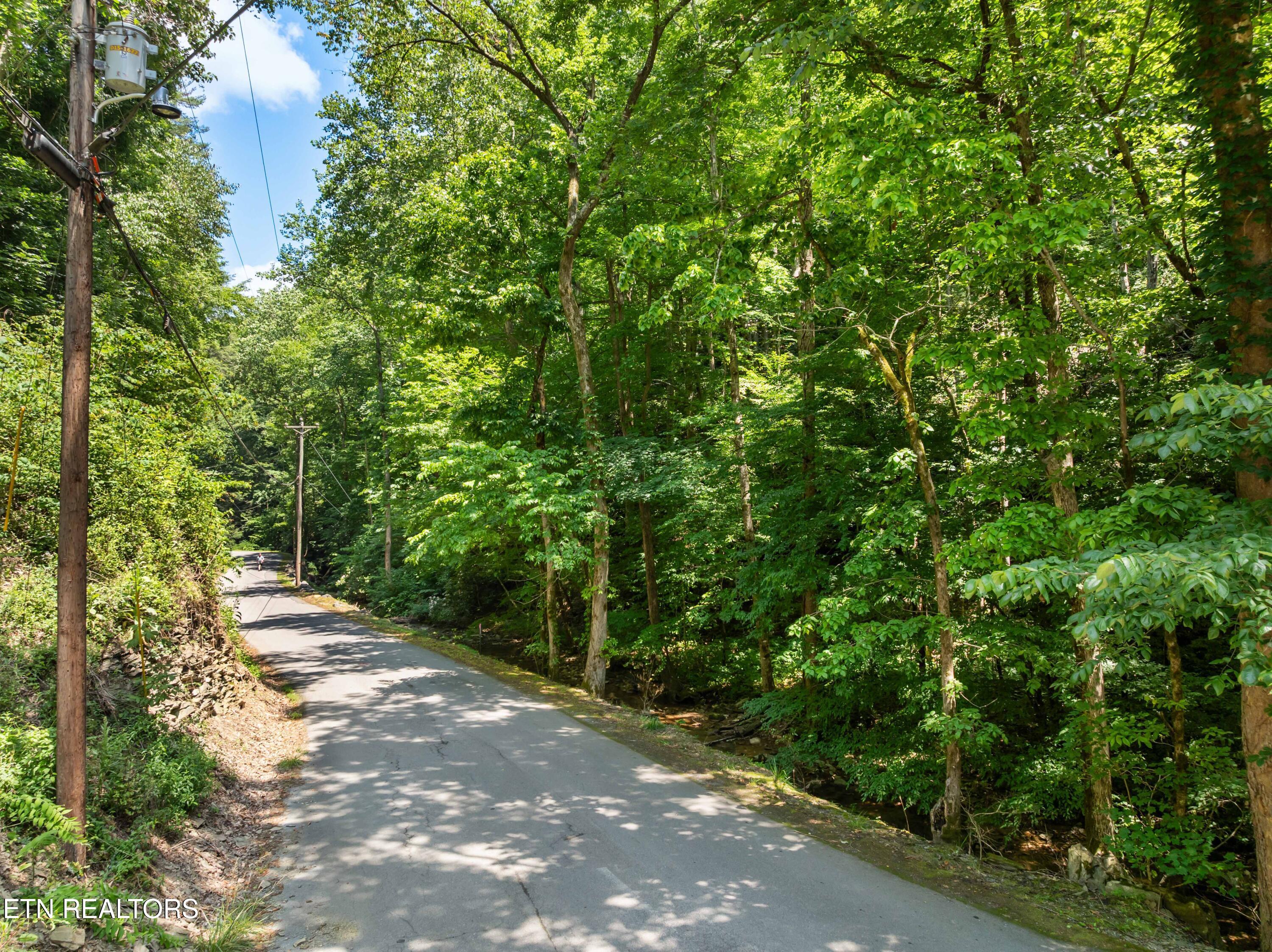 N Clear Fork Road Sevierville TN 37862