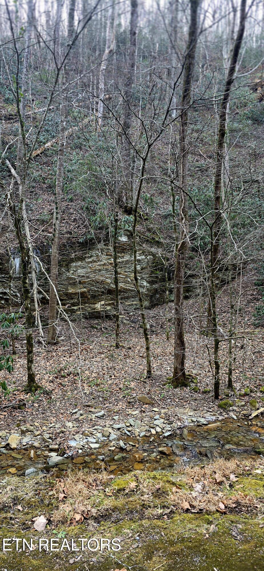 N Clear Fork Road Sevierville TN 37862