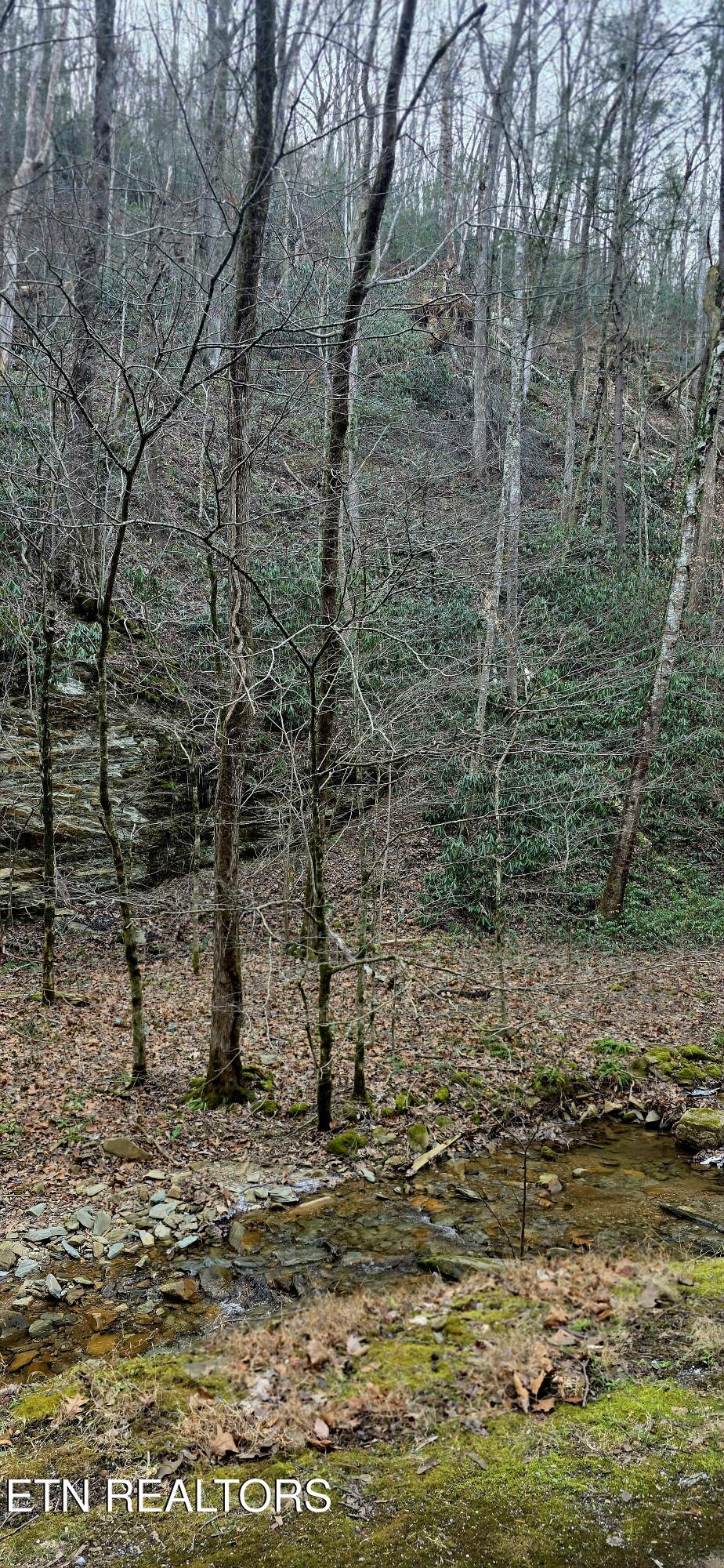 N Clear Fork Road Sevierville TN 37862