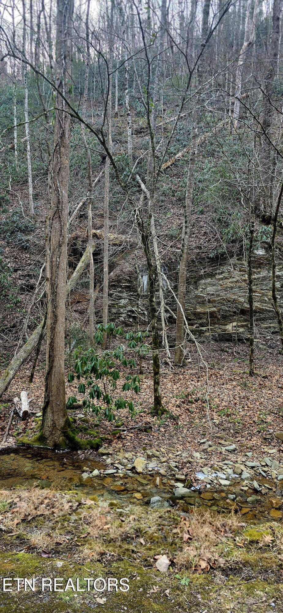 N Clear Fork Road Sevierville TN 37862