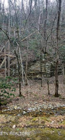 N Clear Fork Road Sevierville TN 37862
