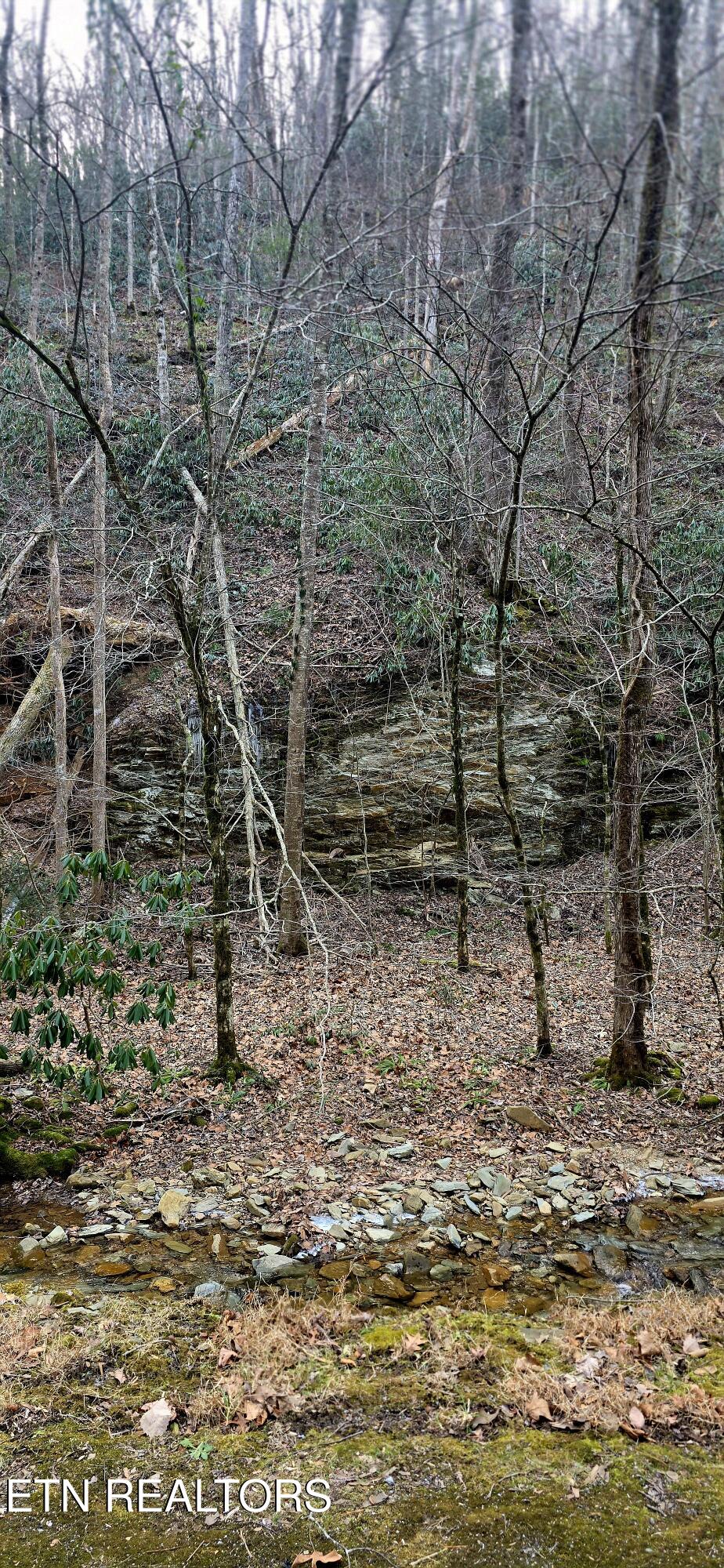 N Clear Fork Road Sevierville TN 37862