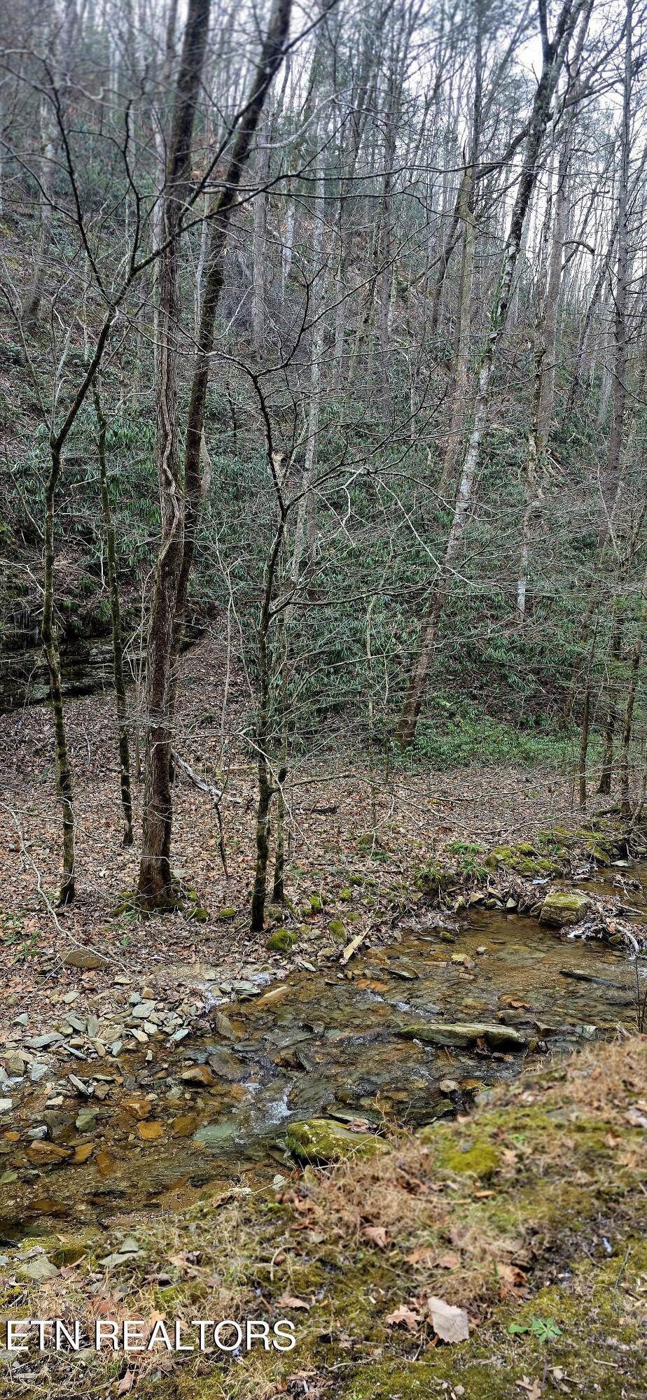 N Clear Fork Road Sevierville TN 37862