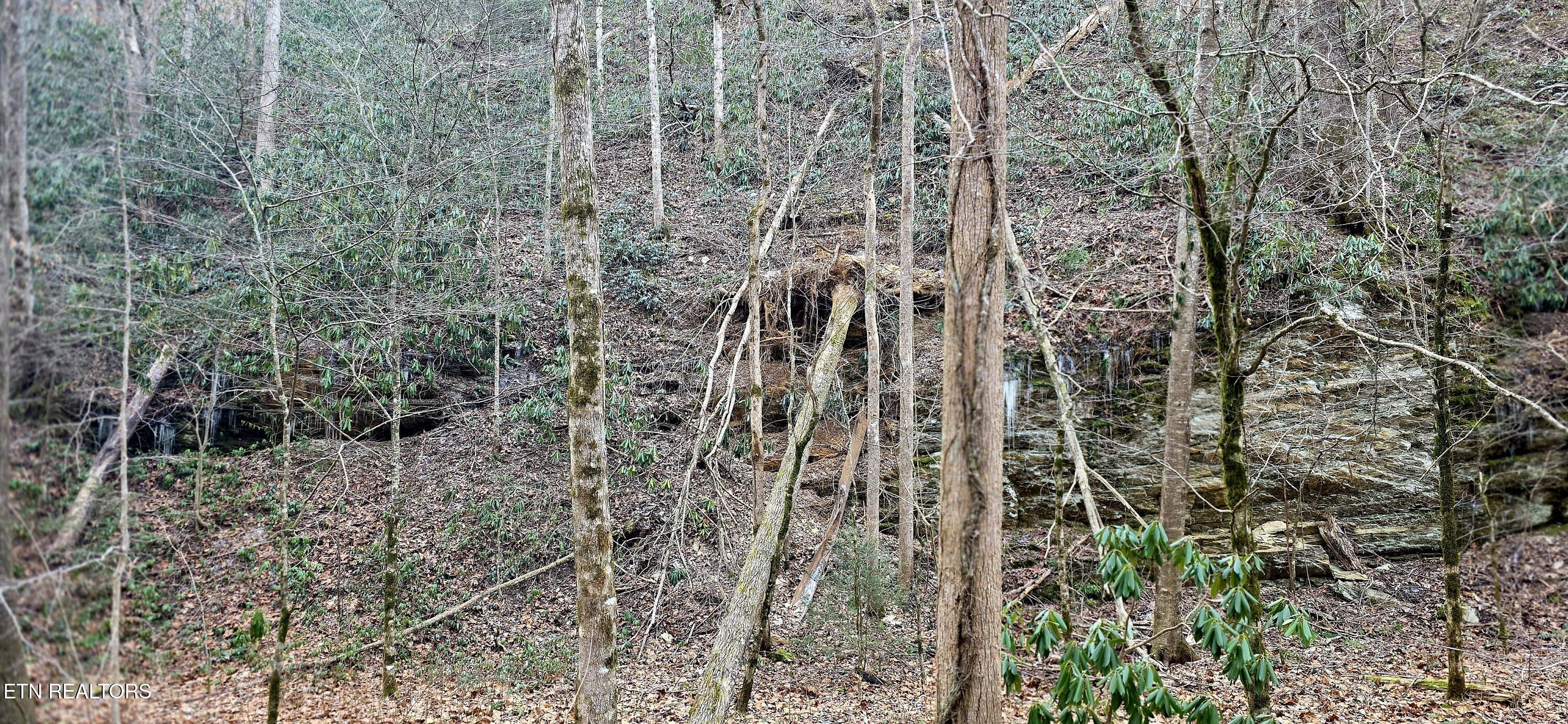 N Clear Fork Road Sevierville TN 37862