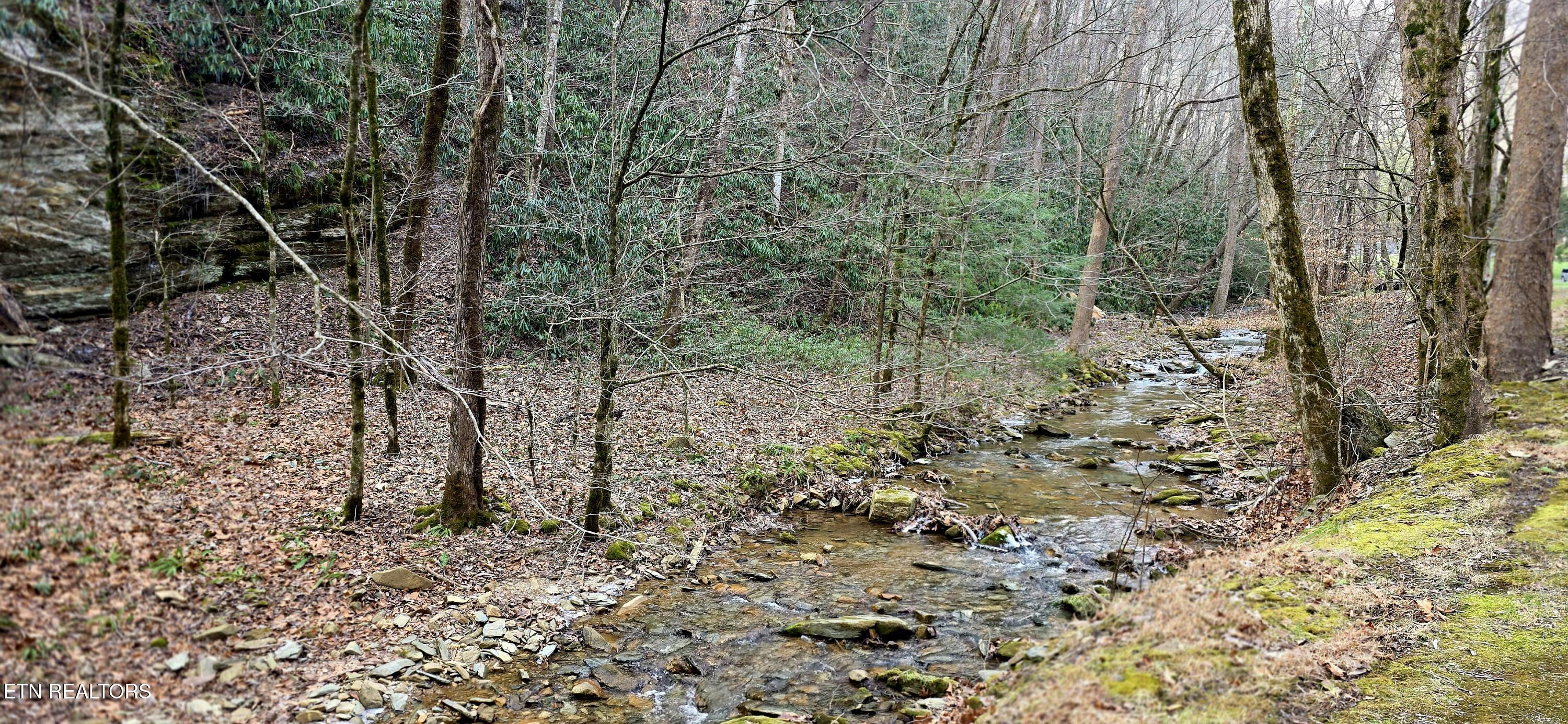 N Clear Fork Road Sevierville TN 37862