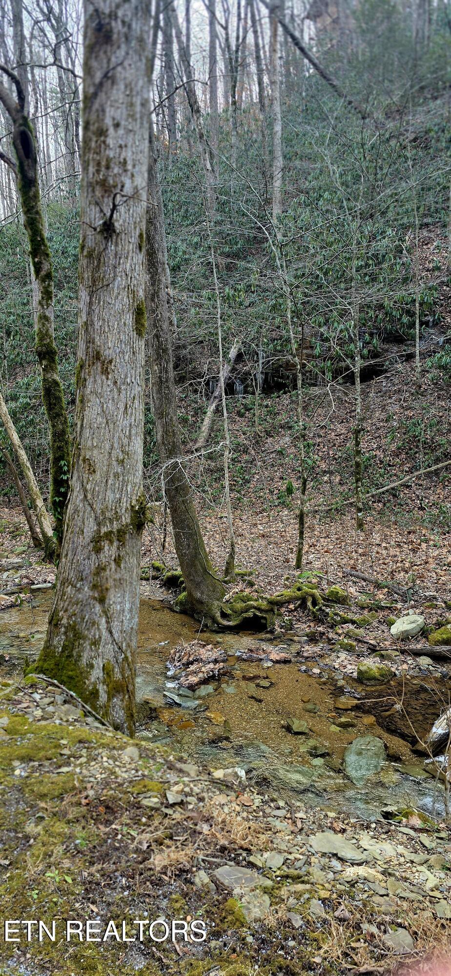 N Clear Fork Road Sevierville TN 37862