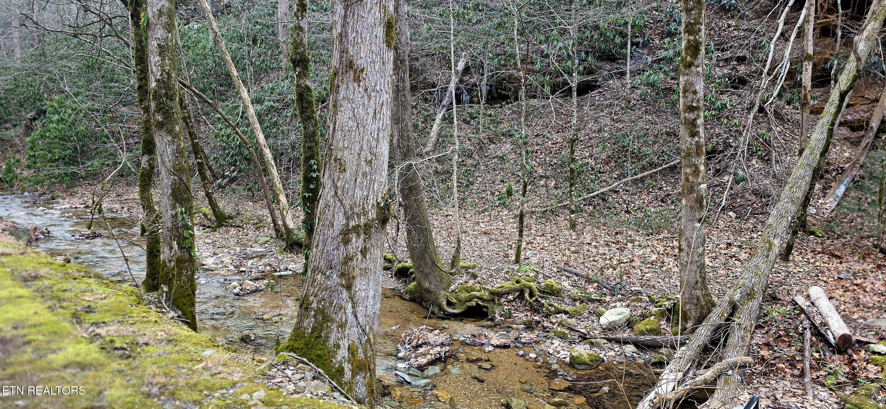 N Clear Fork Road Sevierville TN 37862