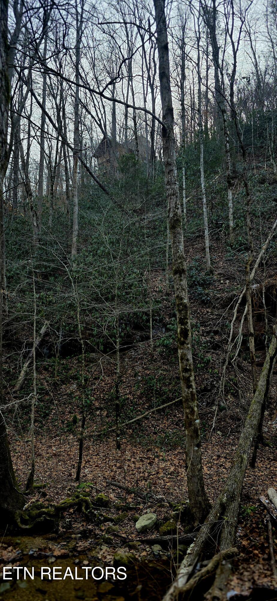 N Clear Fork Road Sevierville TN 37862