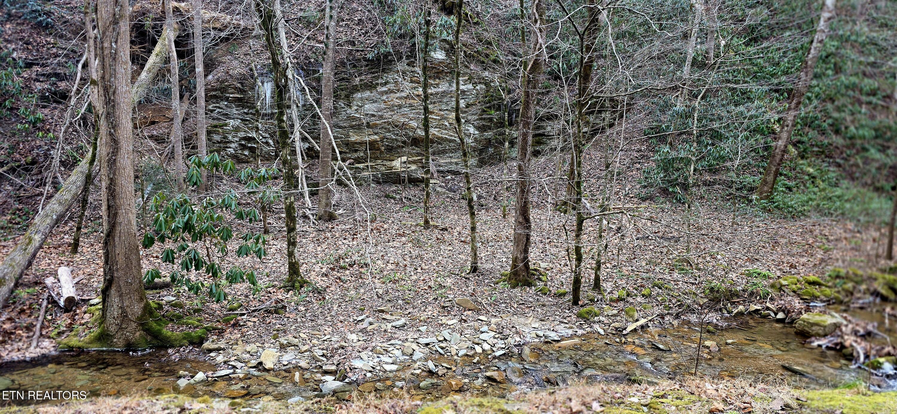N Clear Fork Road Sevierville TN 37862