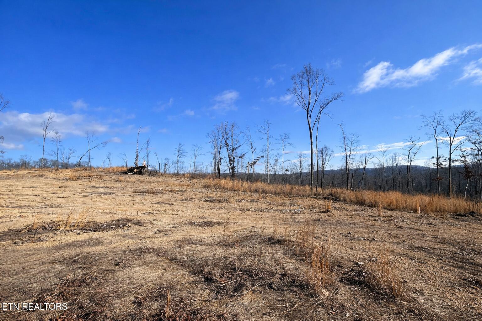 2734 River Road Decatur TN 37322