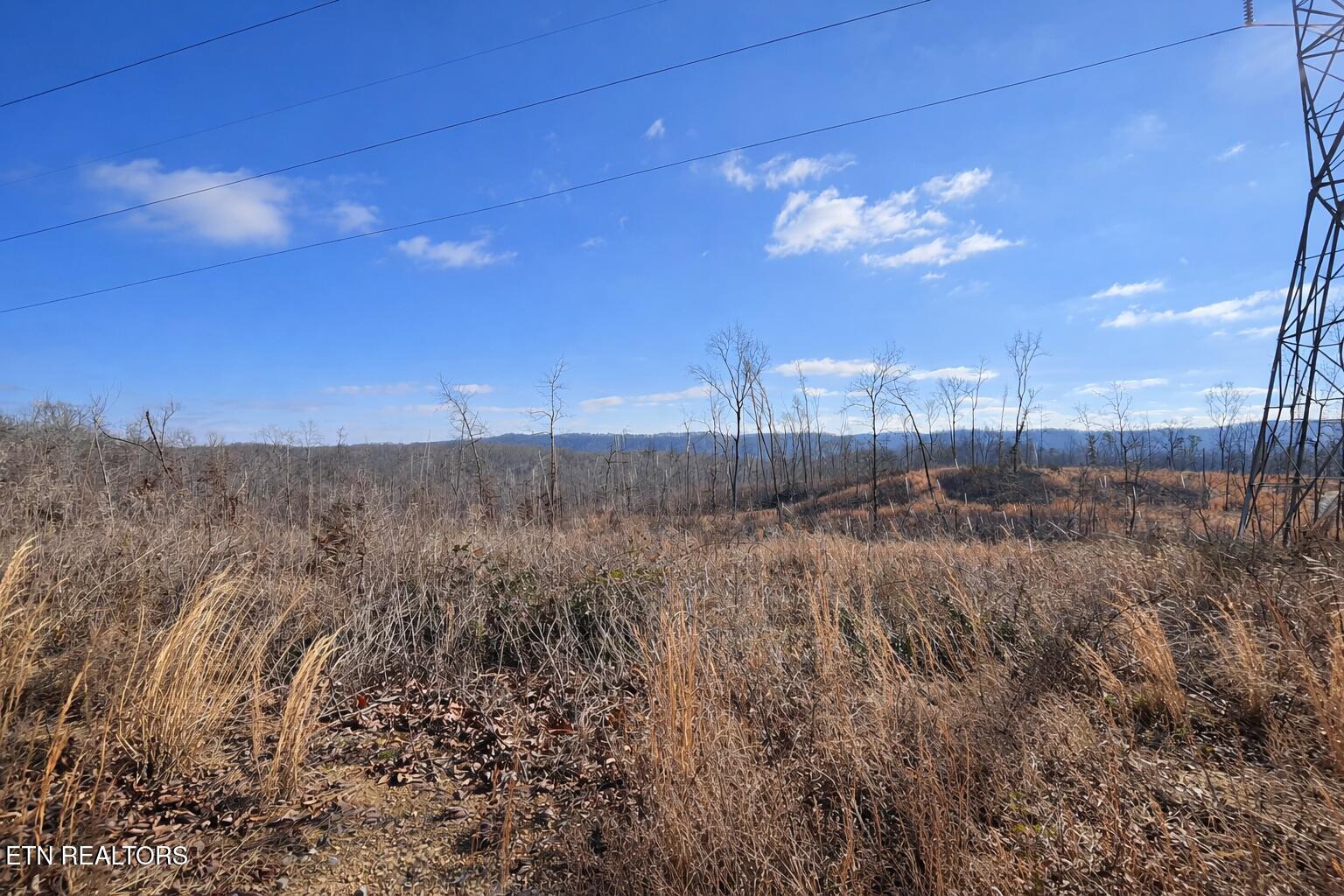 2734 River Road Decatur TN 37322