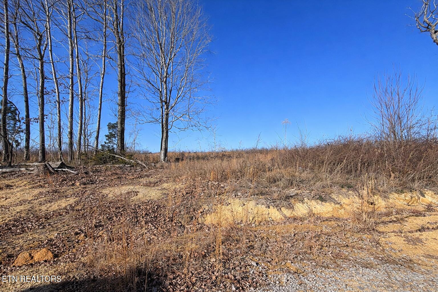 2734 River Road Decatur TN 37322