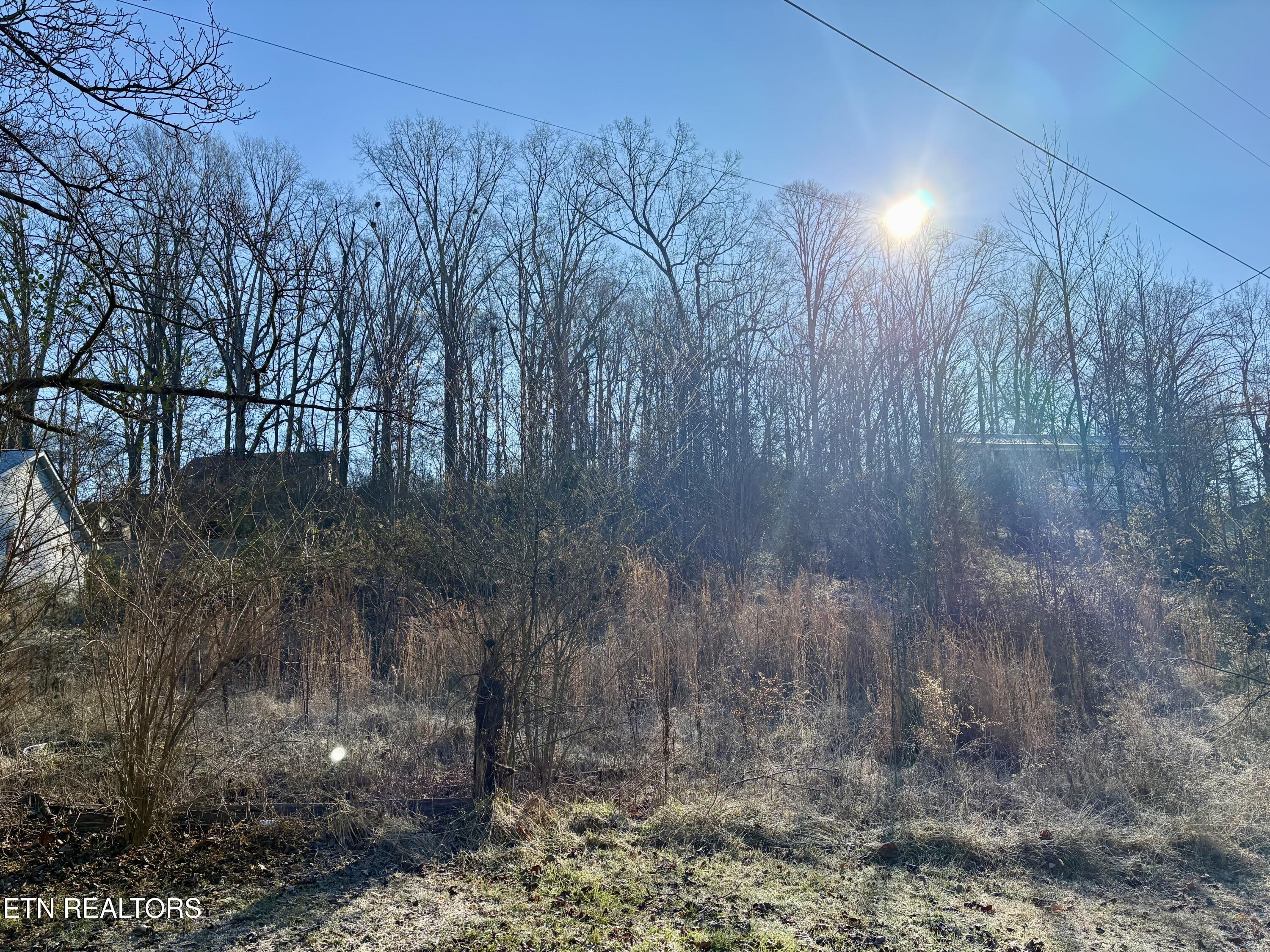 117 Hoskins Lane Clinton TN 37716
