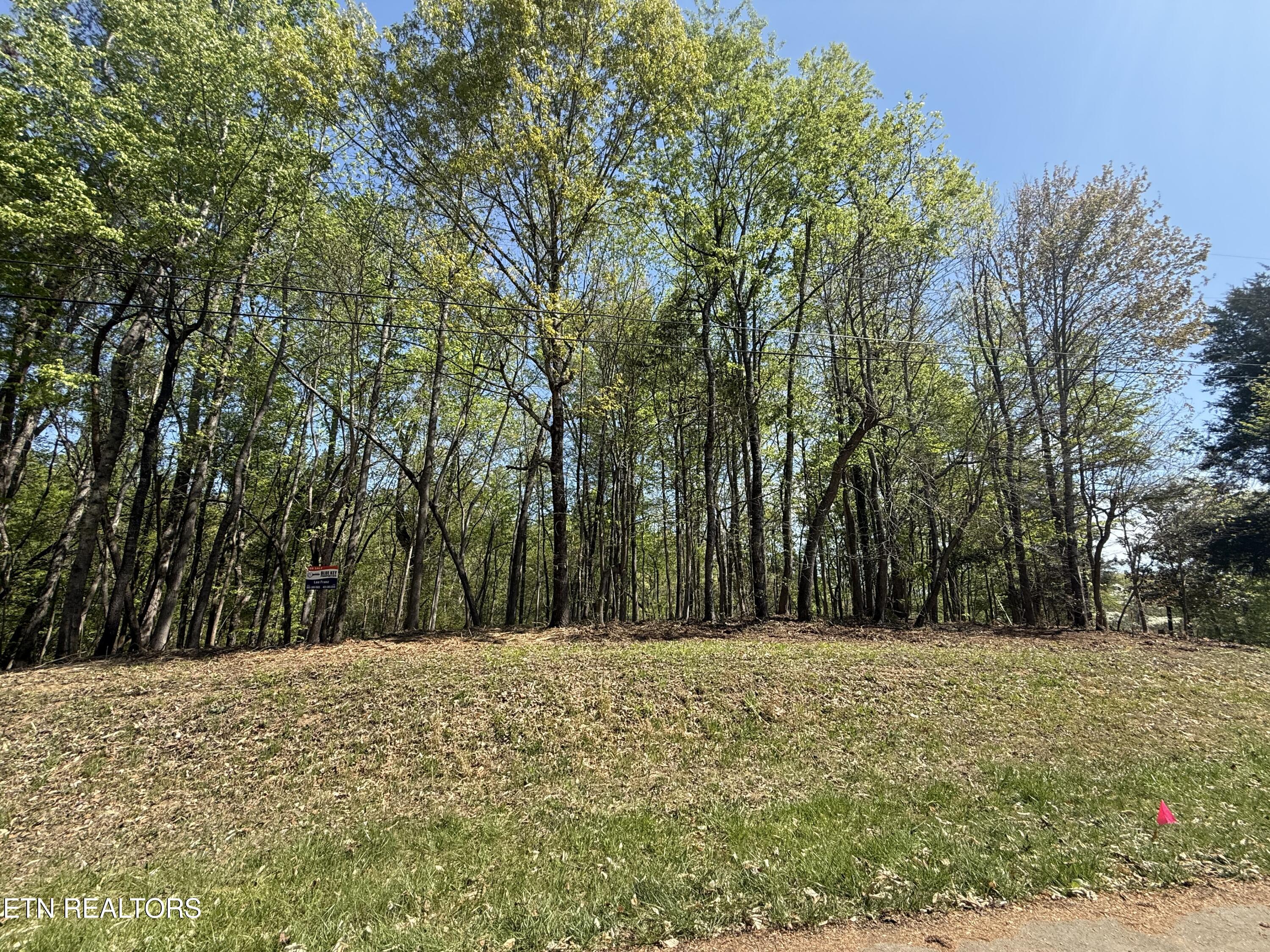 22&23 Phillips Drive Rockwood TN 37854