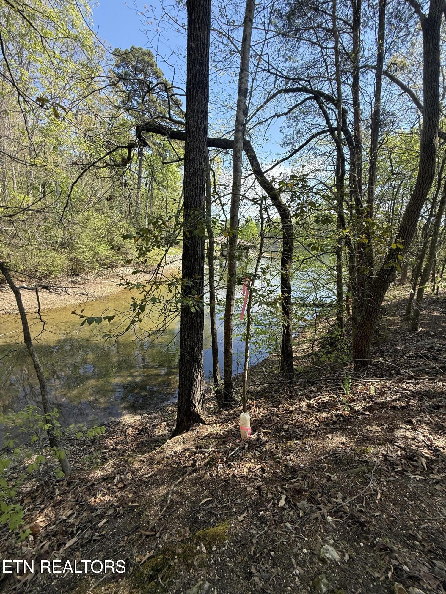 22&23 Phillips Drive Rockwood TN 37854