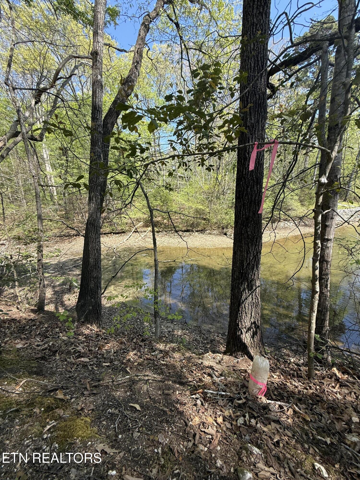 22&23 Phillips Drive Rockwood TN 37854