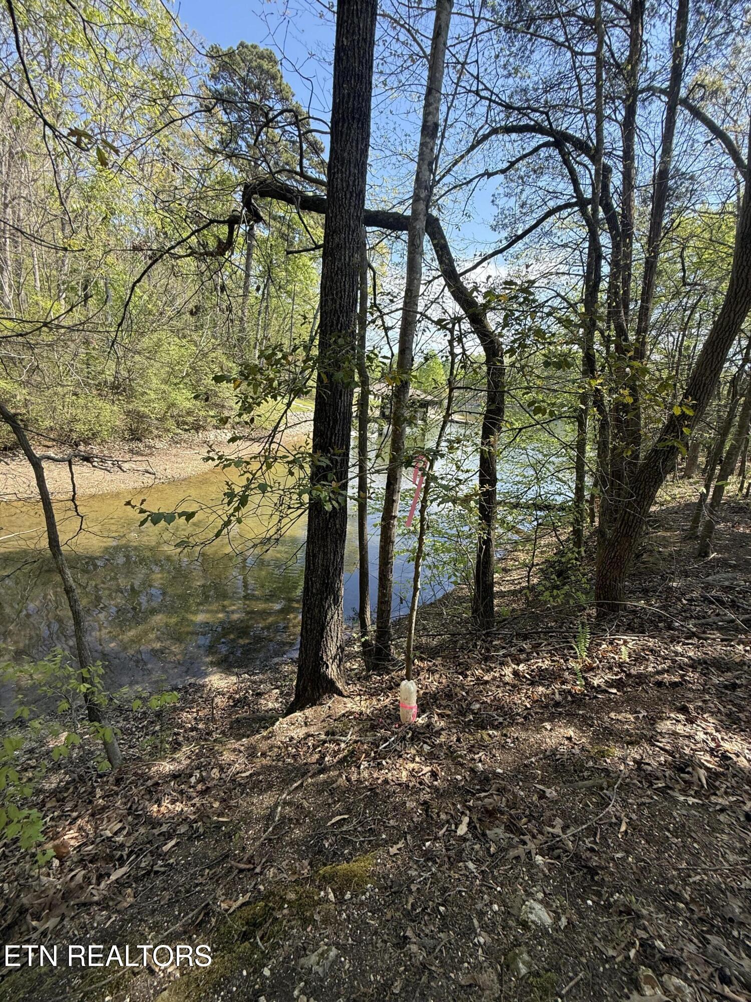 22&23 Phillips Drive Rockwood TN 37854