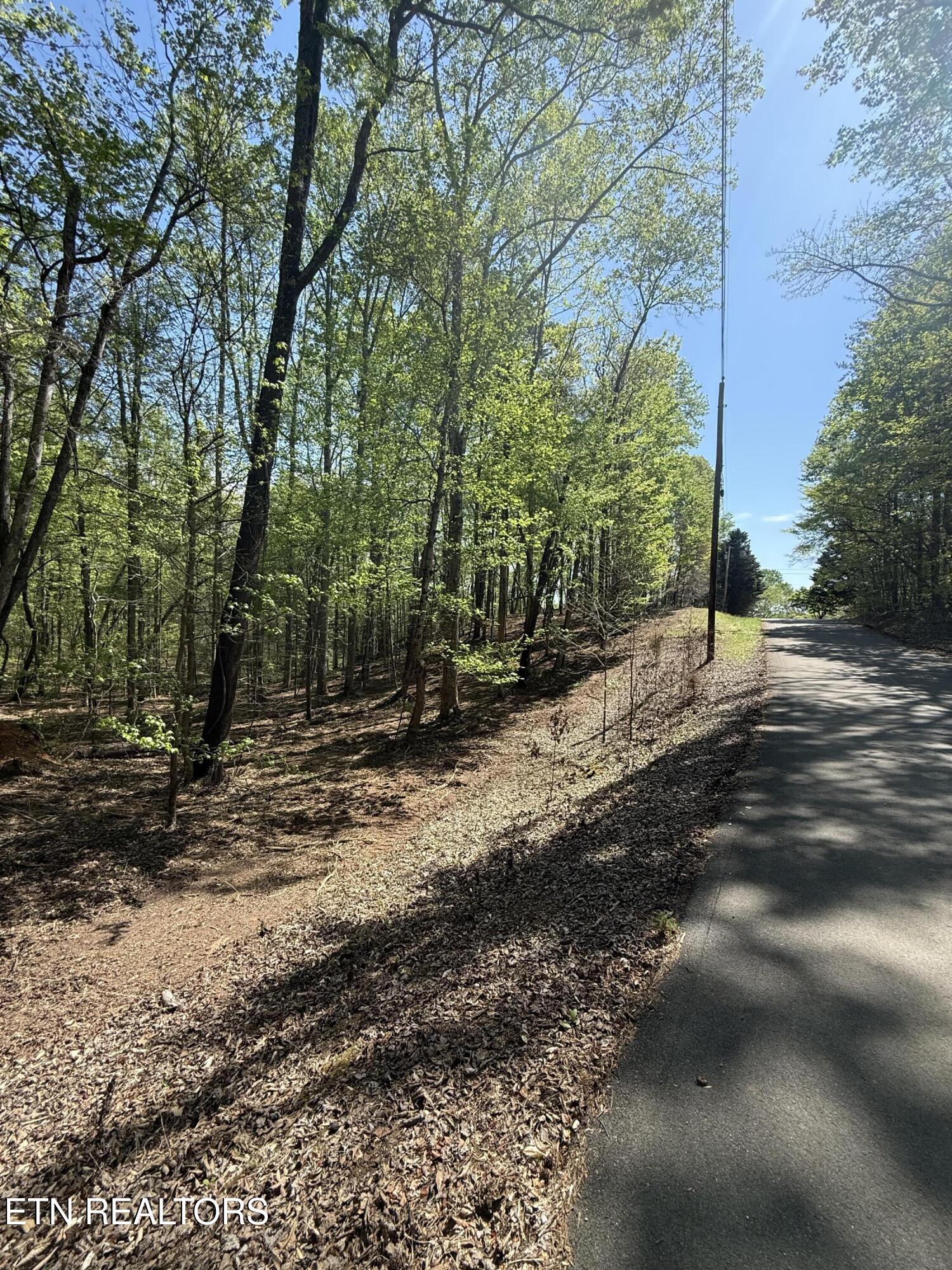 22&23 Phillips Drive Rockwood TN 37854
