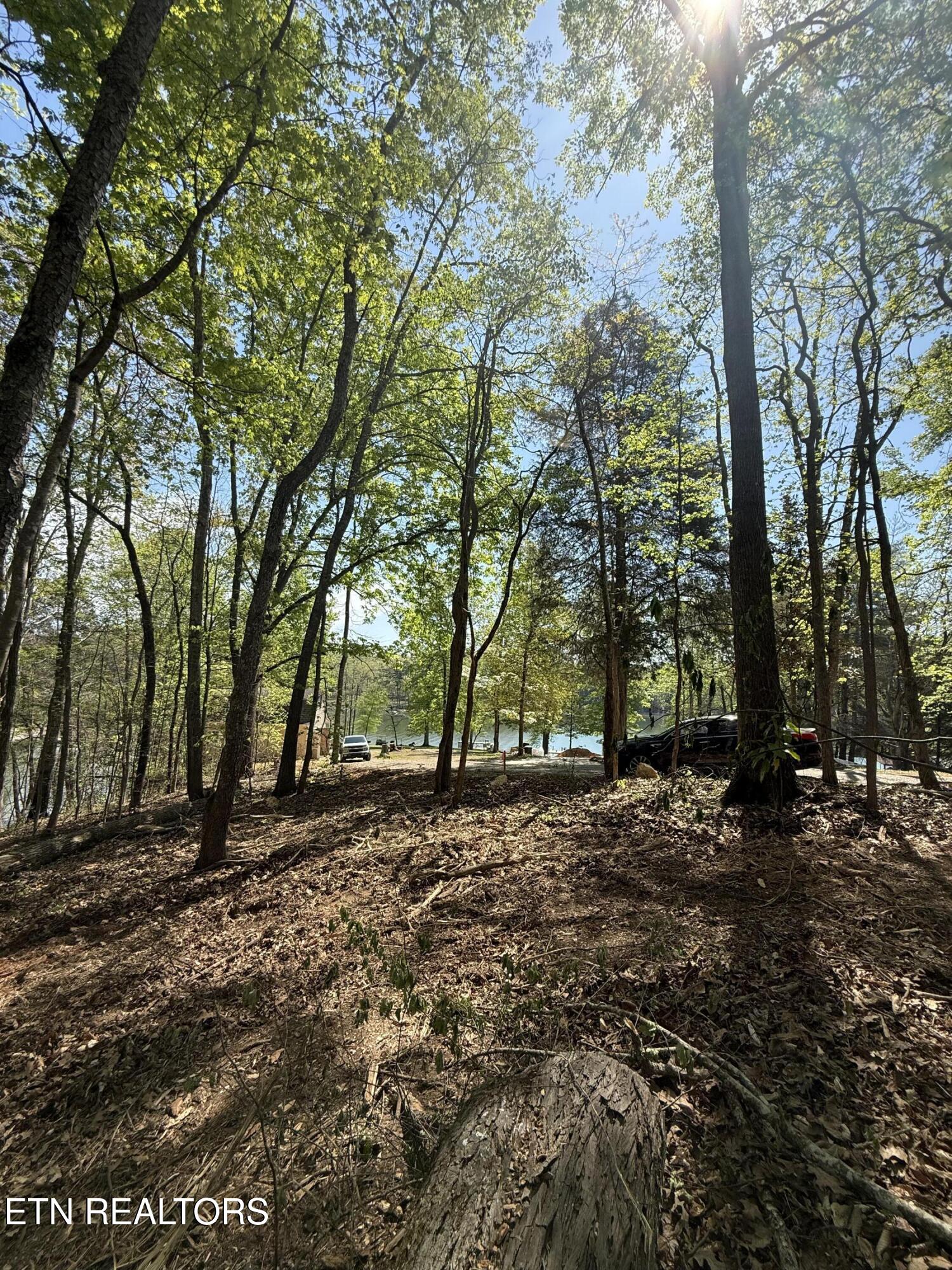 22&23 Phillips Drive Rockwood TN 37854