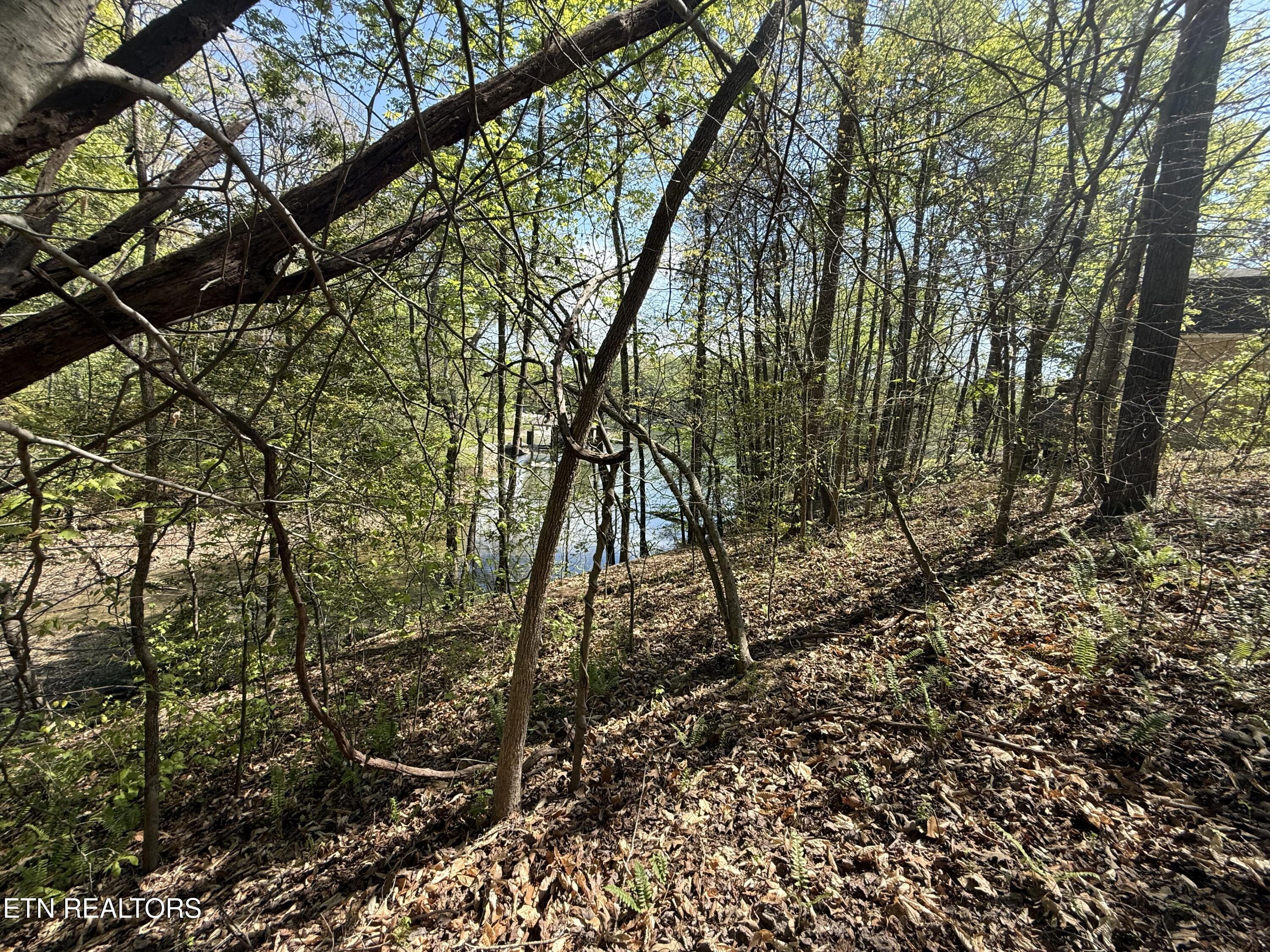 22&23 Phillips Drive Rockwood TN 37854