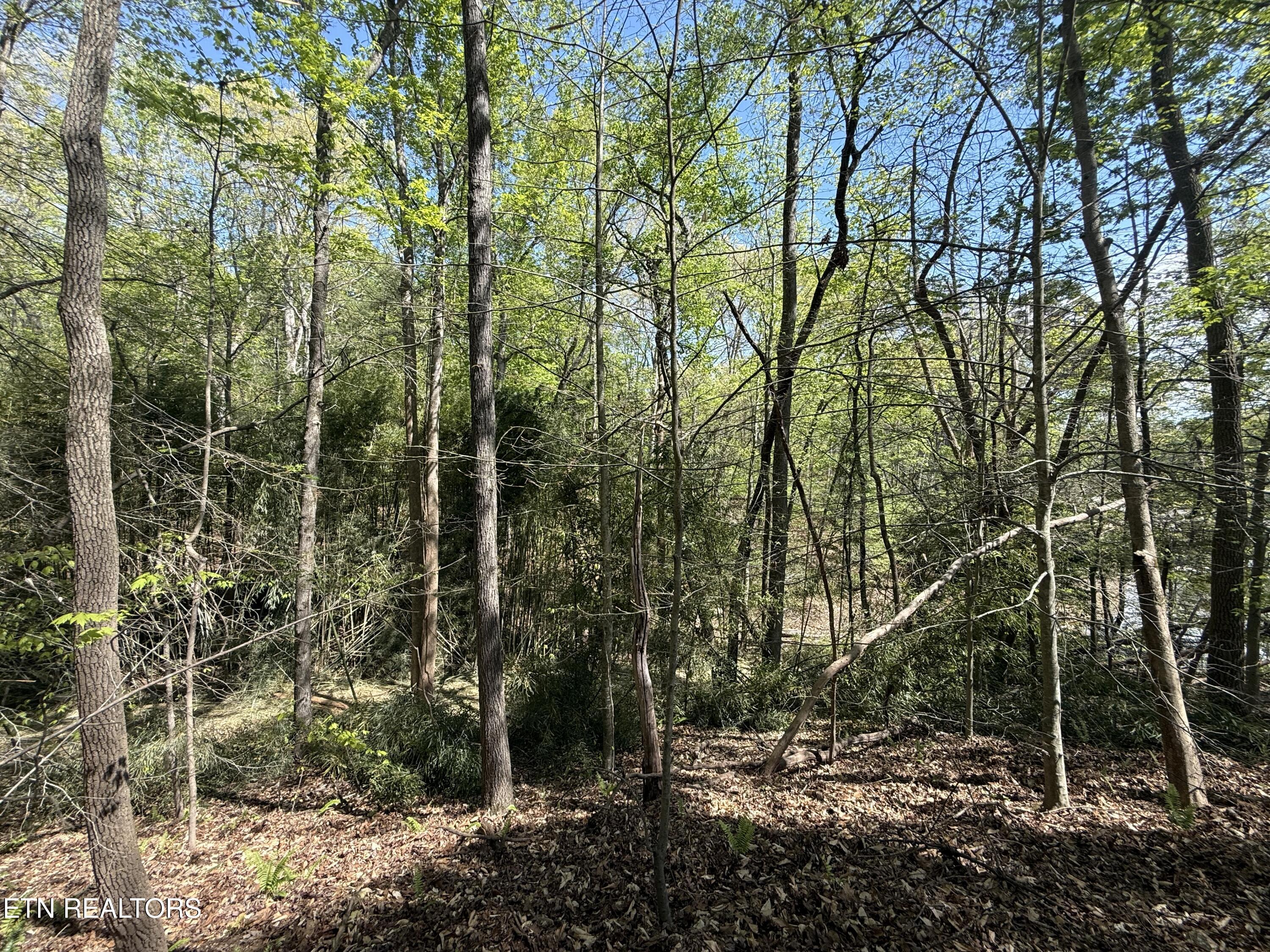 22&23 Phillips Drive Rockwood TN 37854
