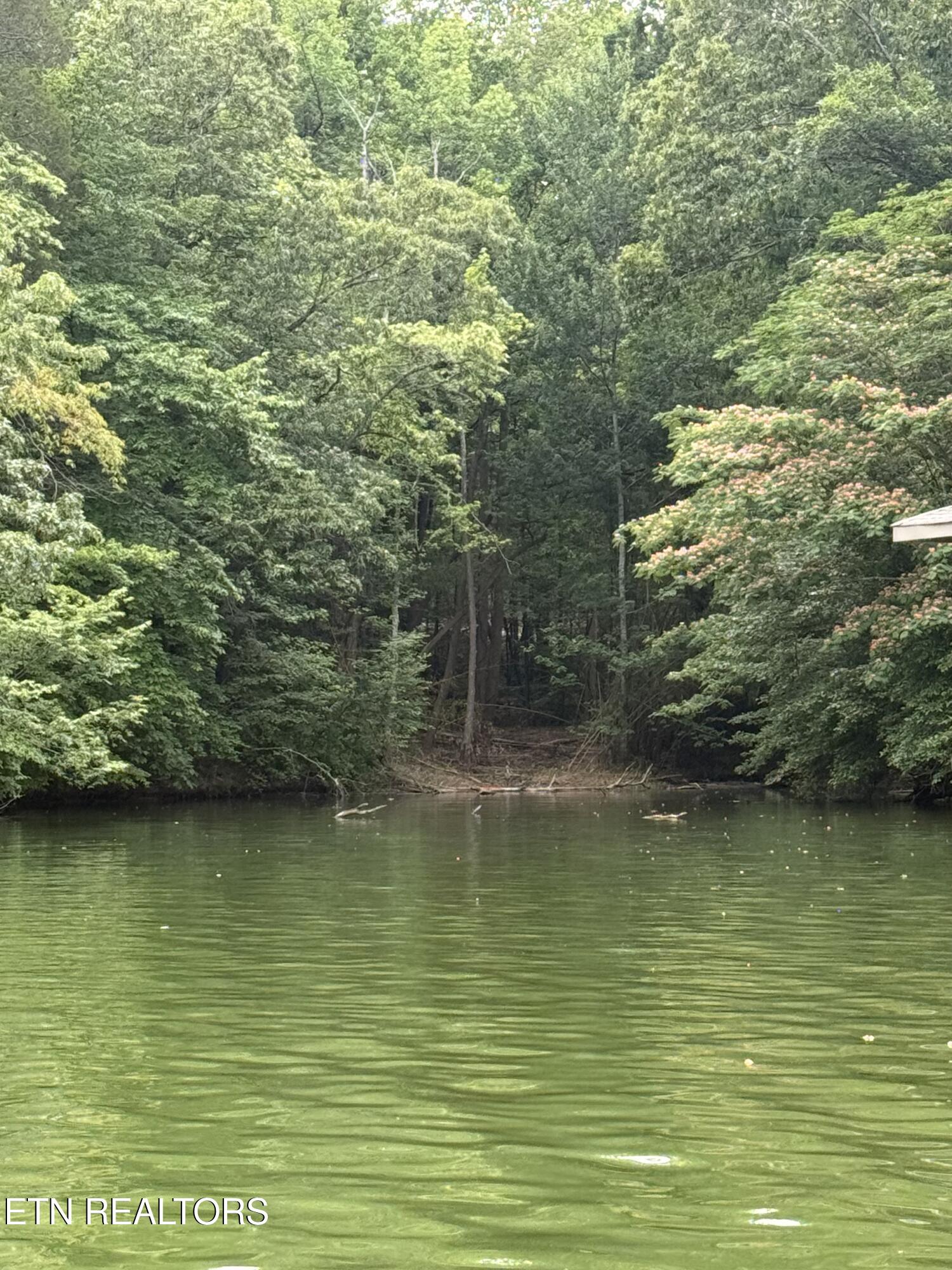 22&23 Phillips Drive Rockwood TN 37854
