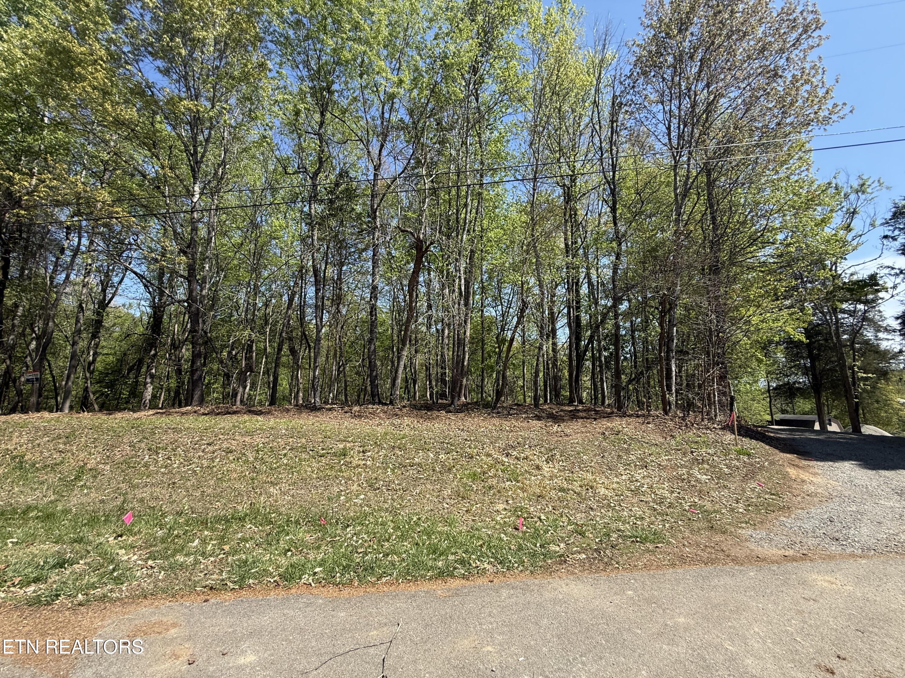 22&23 Phillips Drive Rockwood TN 37854