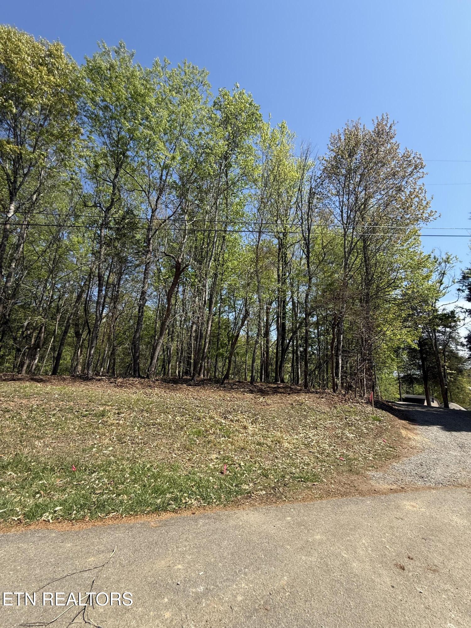 22&23 Phillips Drive Rockwood TN 37854