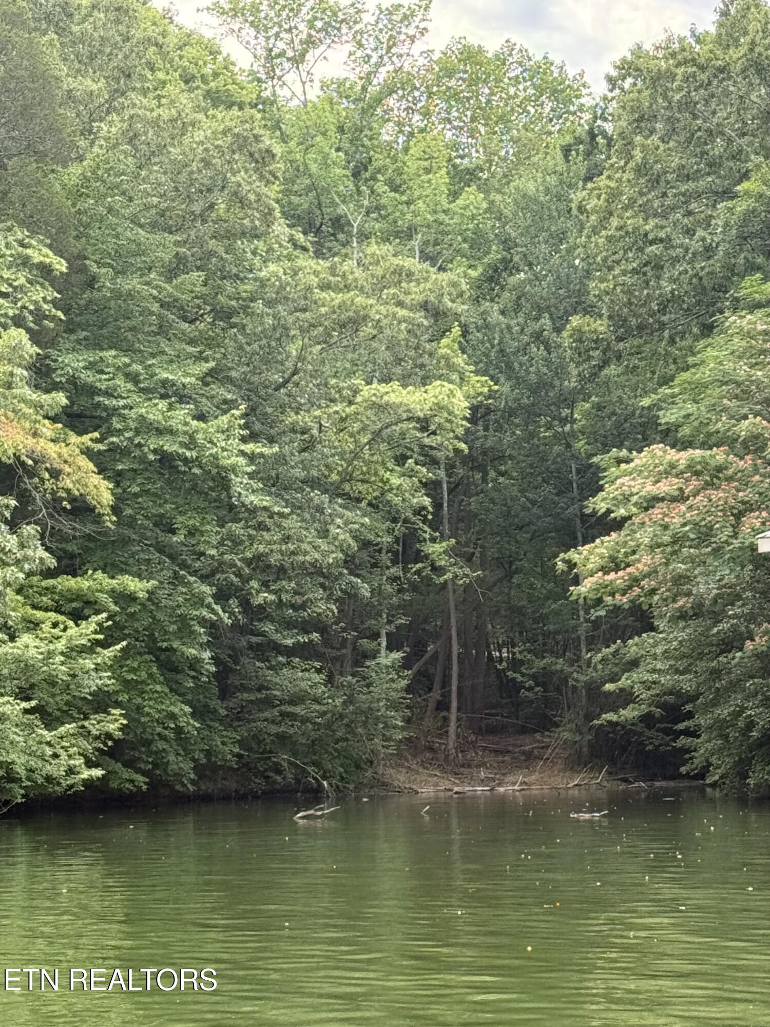22&23 Phillips Drive Rockwood TN 37854