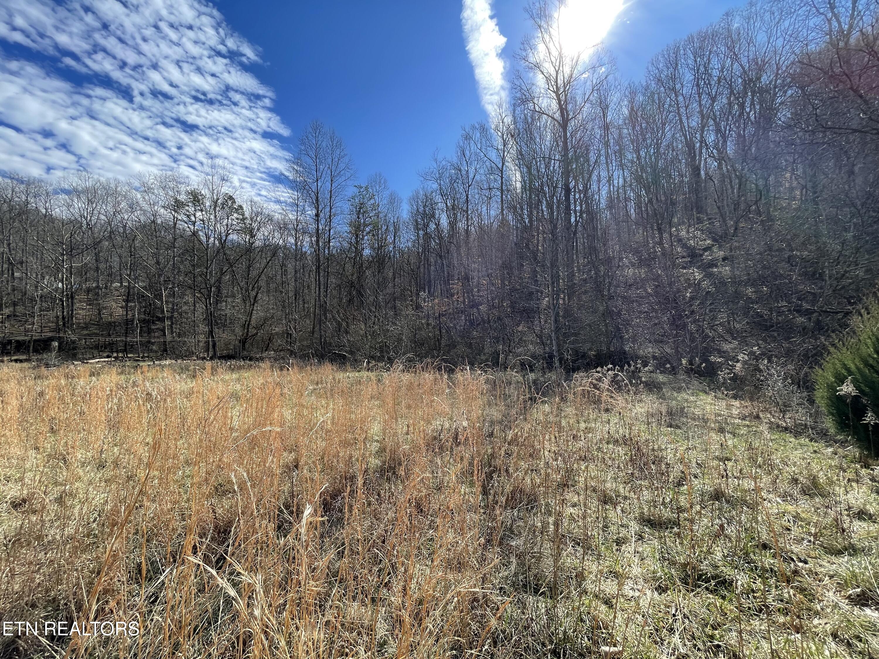 26 Ac Burger Branch County Road 464 Englewood TN 37329