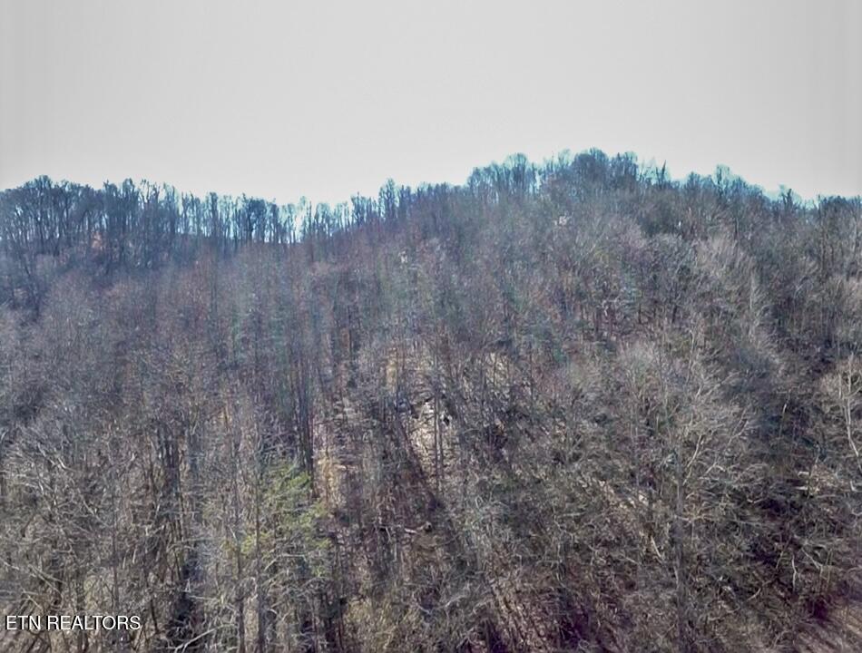 26 Ac Burger Branch County Road 464 Englewood TN 37329