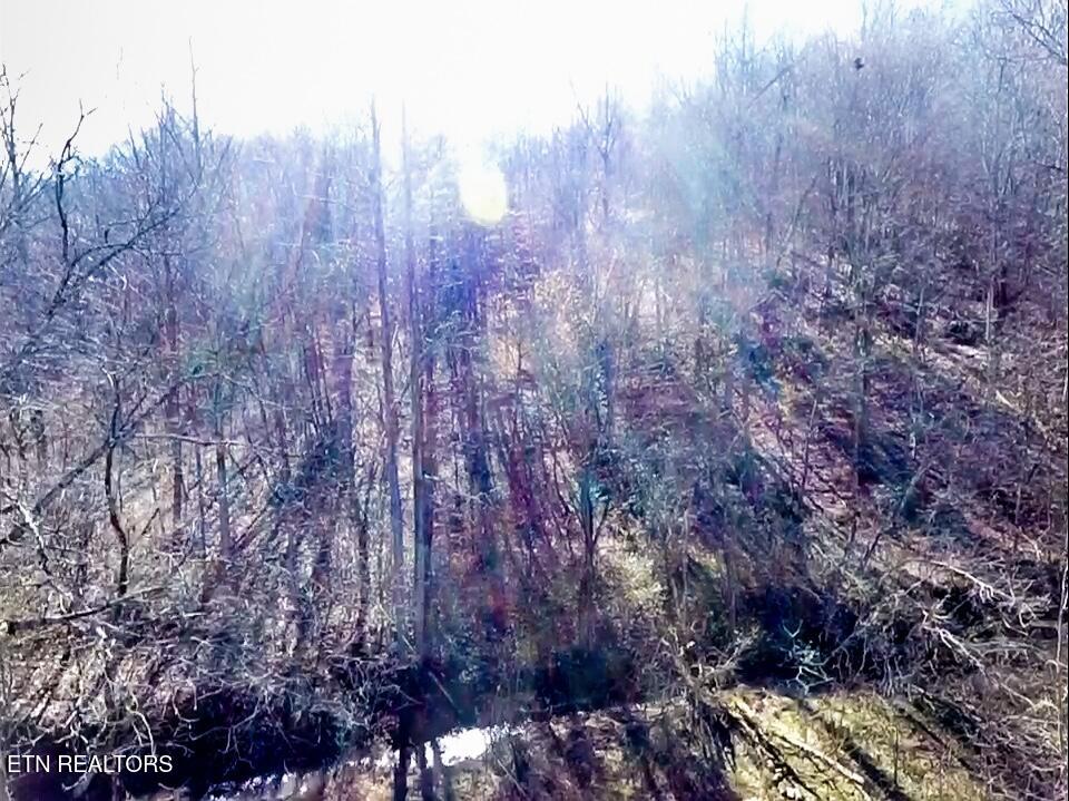 26 Ac Burger Branch County Road 464 Englewood TN 37329