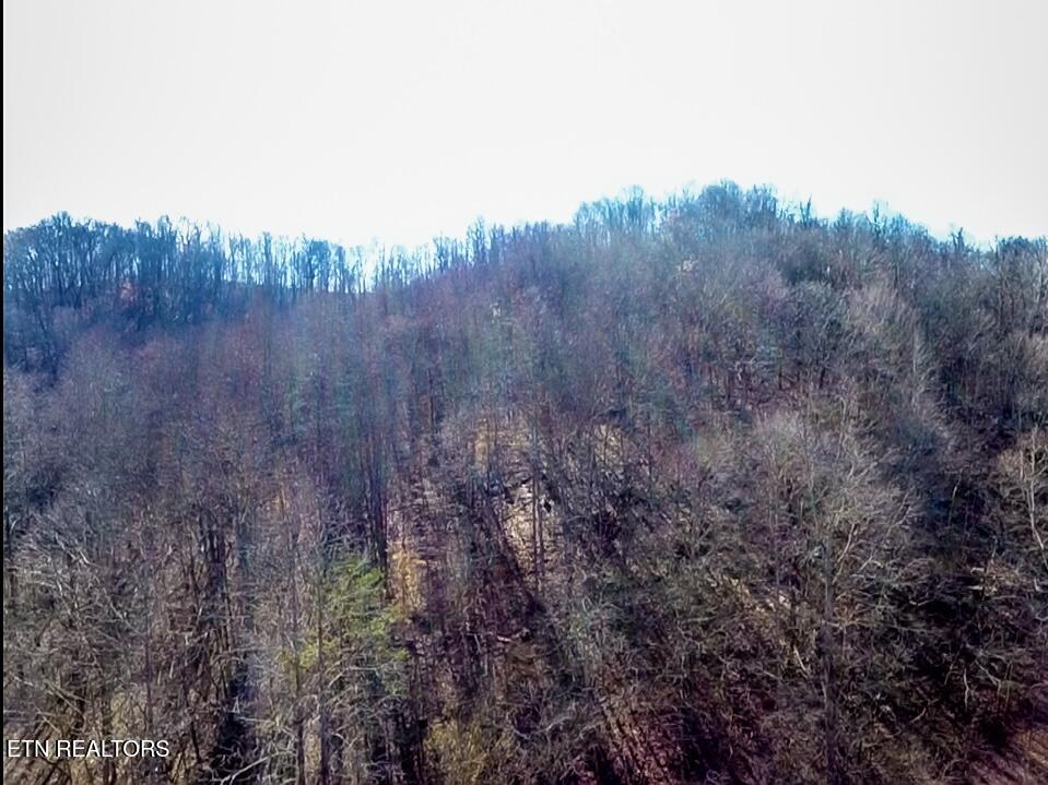 26 Ac Burger Branch County Road 464 Englewood TN 37329