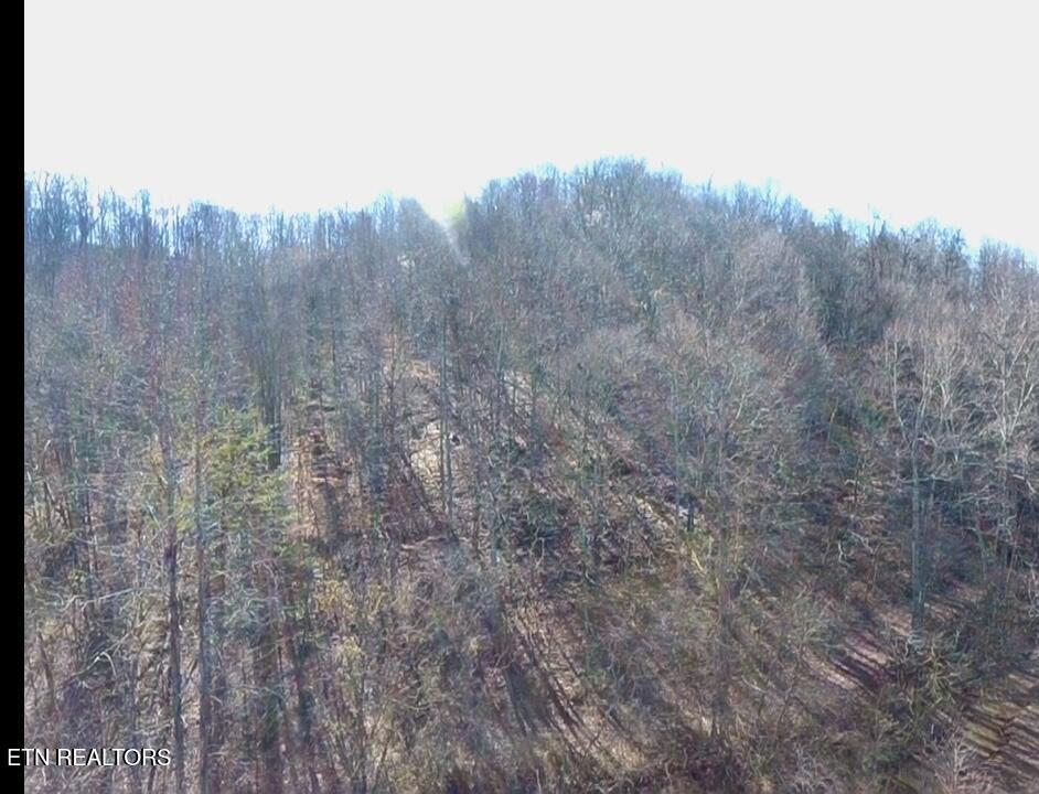26 Ac Burger Branch County Road 464 Englewood TN 37329