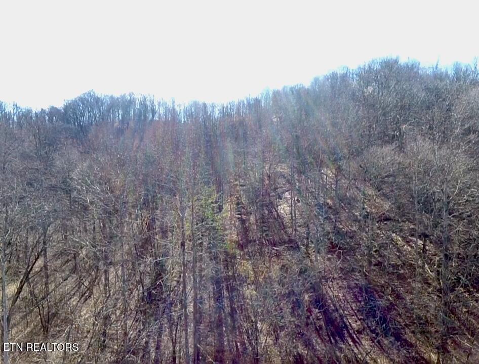 26 Ac Burger Branch County Road 464 Englewood TN 37329