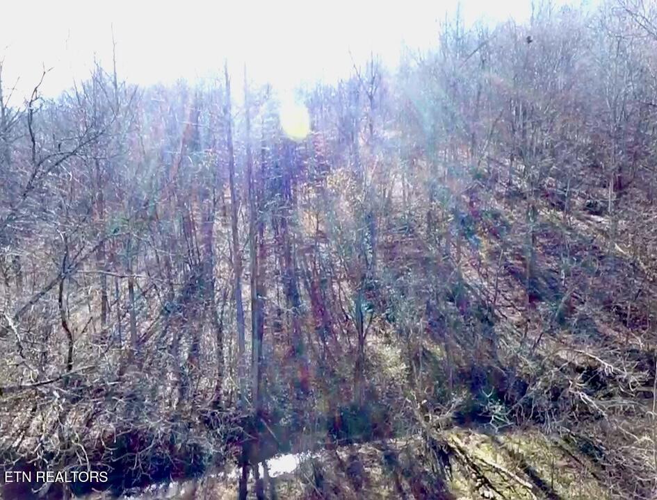 26 Ac Burger Branch County Road 464 Englewood TN 37329