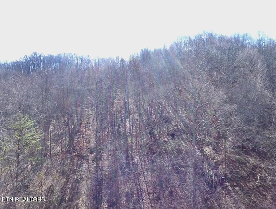 26 Ac Burger Branch County Road 464 Englewood TN 37329