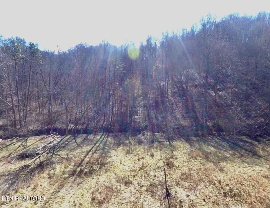 26 Ac Burger Branch County Road 464 Englewood TN 37329