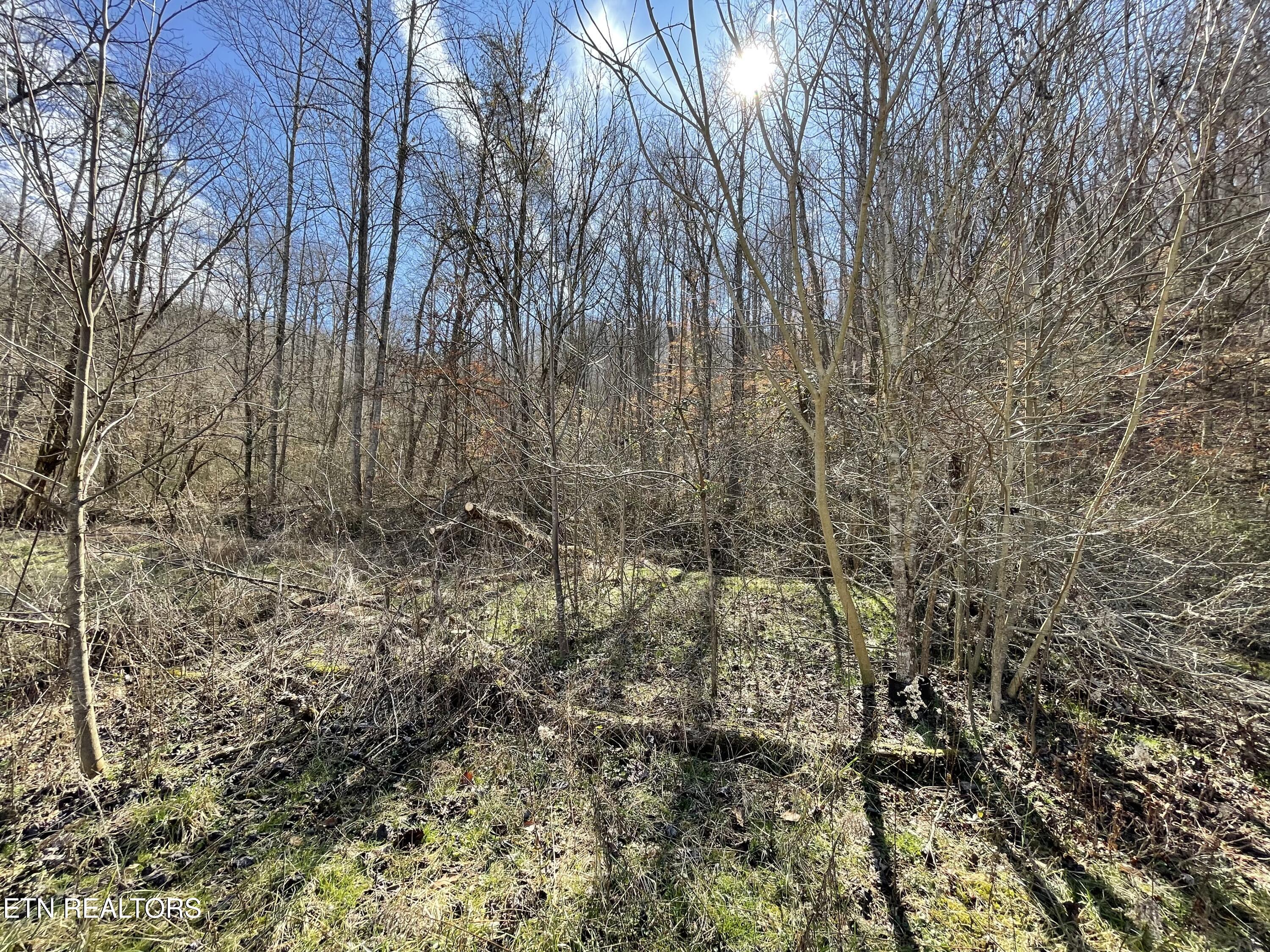 26 Ac Burger Branch County Road 464 Englewood TN 37329