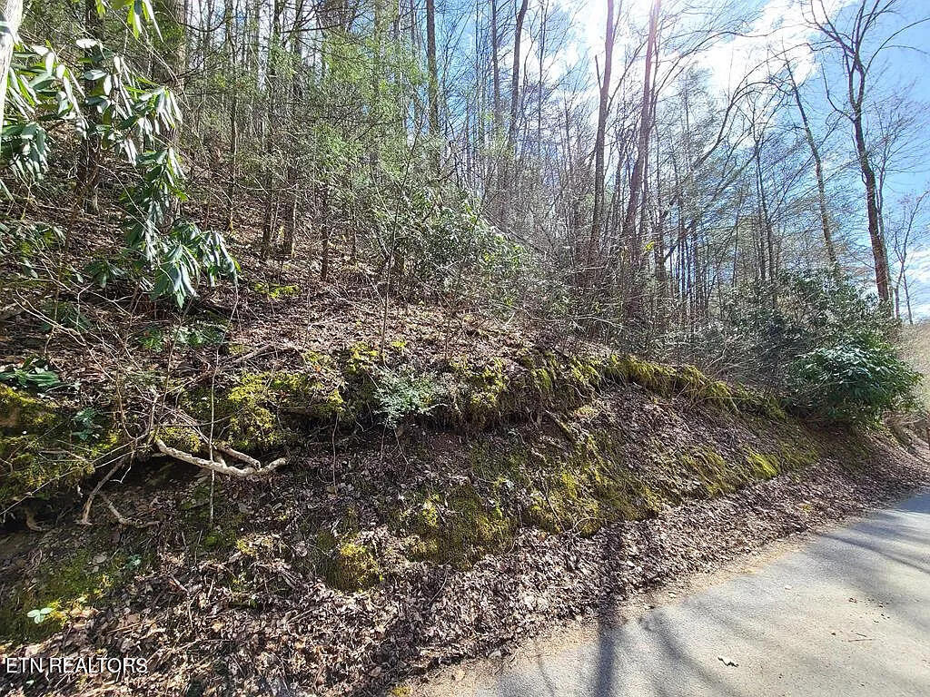 0 Butler Branch Road Gatlinburg TN 37738