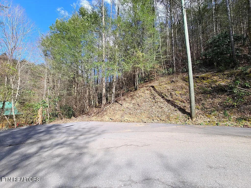 0 Butler Branch Road Gatlinburg TN 37738