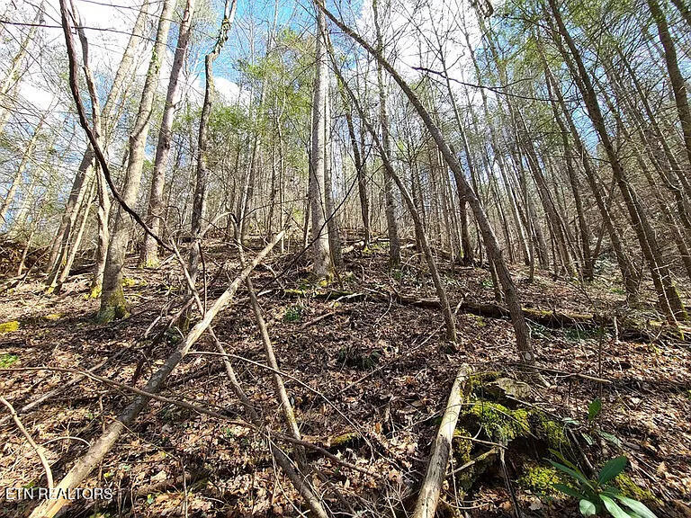 0 Butler Branch Road Gatlinburg TN 37738