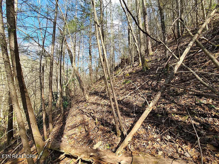 0 Butler Branch Road Gatlinburg TN 37738