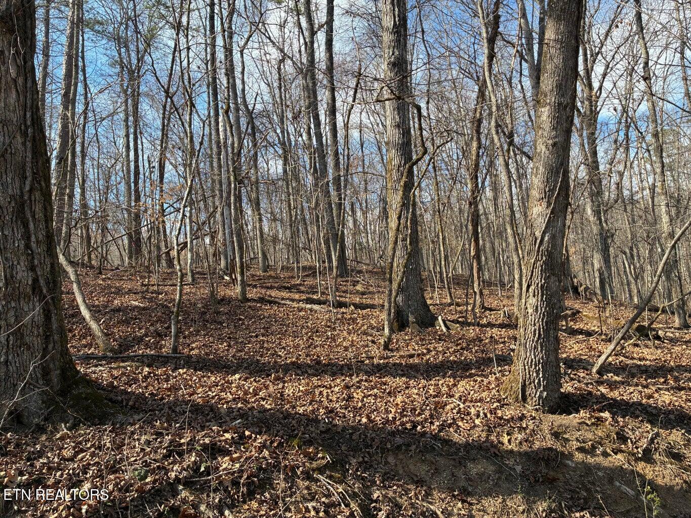 0 Eagle Point Drive Lot 8 Rockwood TN 37854