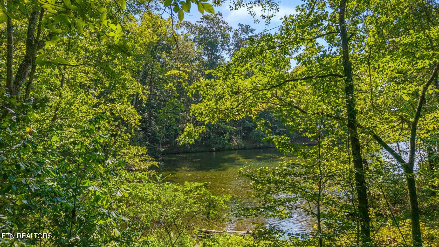 0 Eagle Point Drive Lot 8 Rockwood TN 37854
