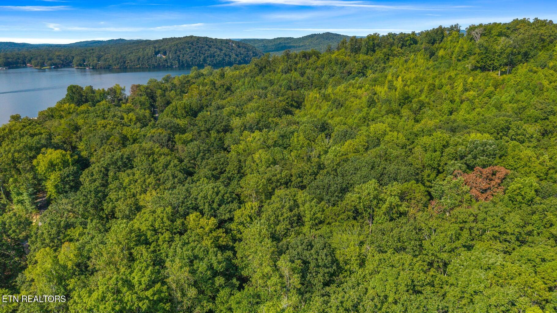 0 Eagle Point Drive Lot 8 Rockwood TN 37854
