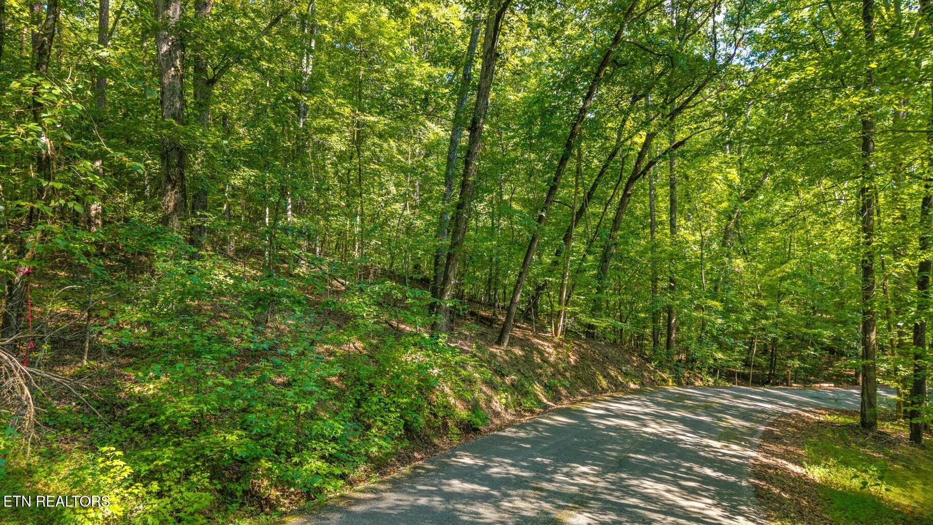 0 Eagle Point Drive Lot 8 Rockwood TN 37854