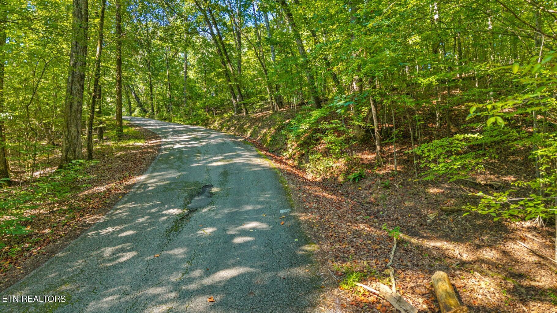0 Eagle Point Drive Lot 8 Rockwood TN 37854