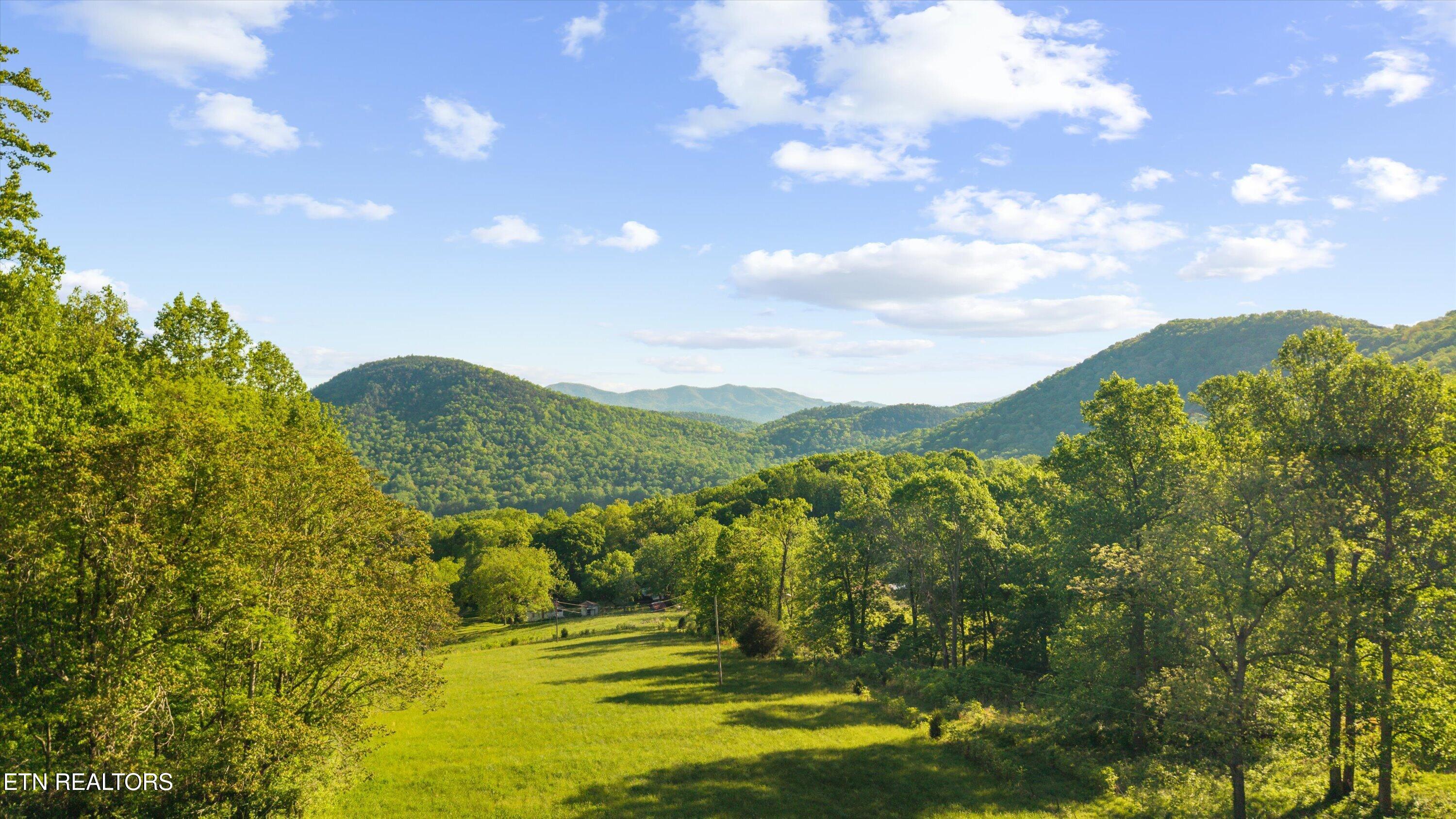 172 Pam Lane Townsend TN 37882